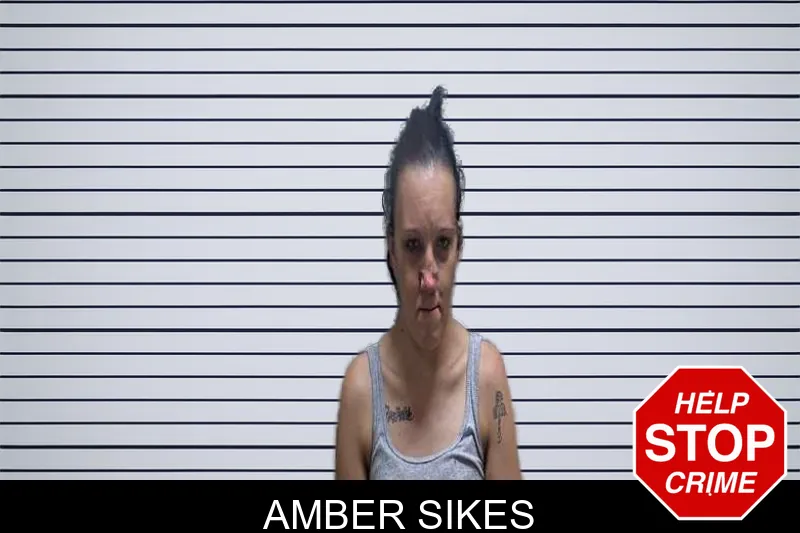 Amber Sikes mugshot – Charlton County , Georgia Amber Sikes mugshot