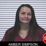 Amber Simpson mugshot – Dawson County , Georgia Amber Simpson mugshot
