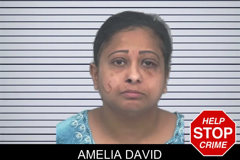 Amelia David mugshot – Gwinnett County , Georgia Amelia David mugshot