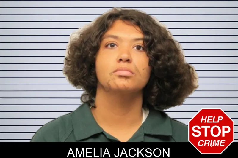Amelia Jackson mugshot – Chatham County , Georgia Amelia Jackson mugshot