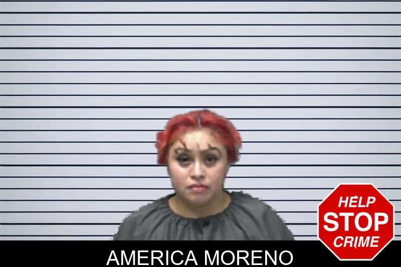 America Moreno mugshot – Forsyth County , Georgia America Moreno mugshot