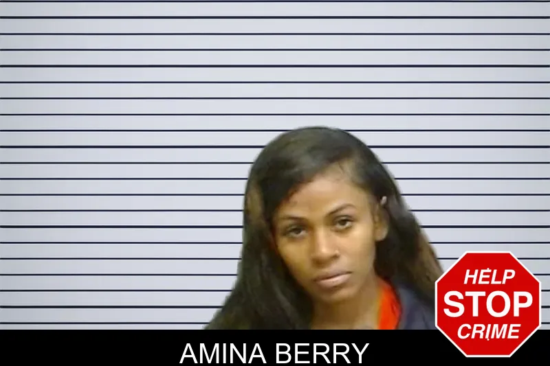 Amina Berry mugshot – Fulton County , Georgia Amina Berry mugshot