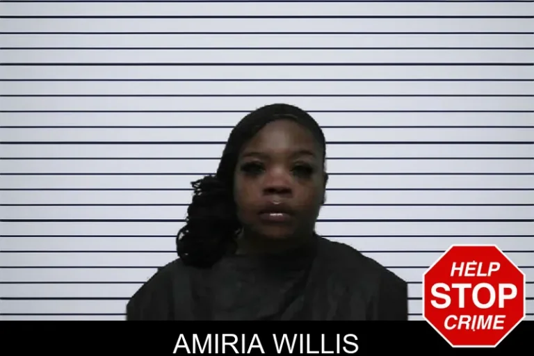 Amiria Willis mugshot – Pike County , Georgia Amiria Willis