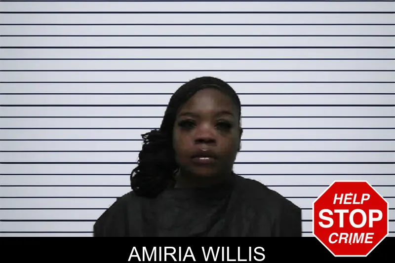 Amiria Willis mugshot – Pike County , Georgia Amiria Willis mugshot