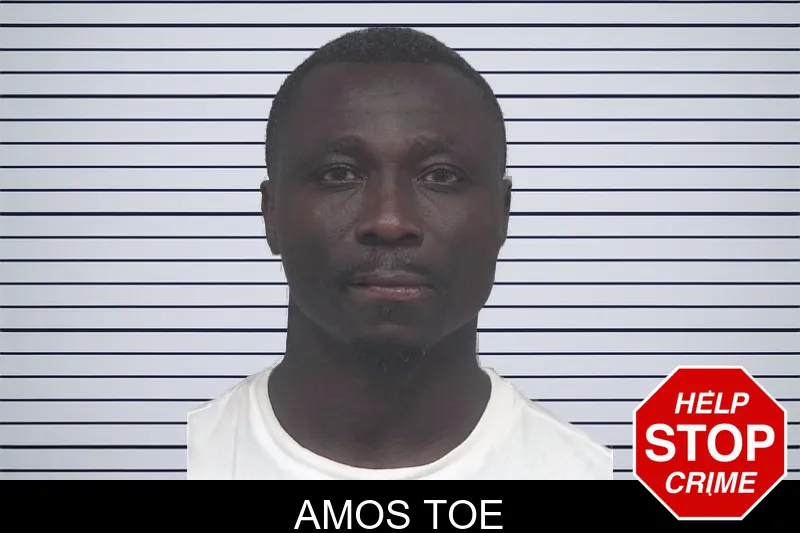 Amos Toe mugshot – Gwinnett County , Georgia Amos Toe mugshot