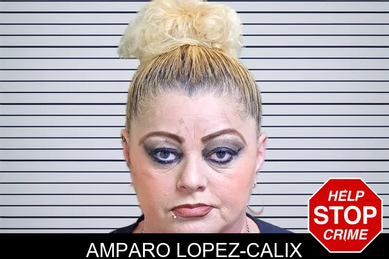 Amparo Lopez-Calix mugshot – Gwinnett County , Georgia Amparo Lopez-Calix mugshot
