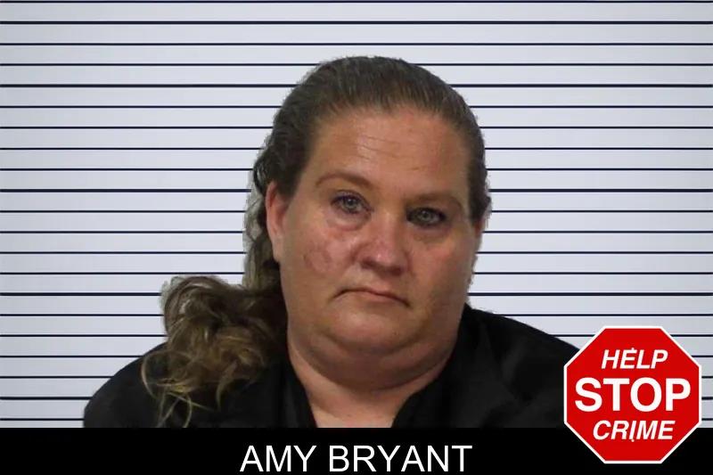 Amy Bryant mugshot – Carroll County , Georgia Amy Bryant mugshot