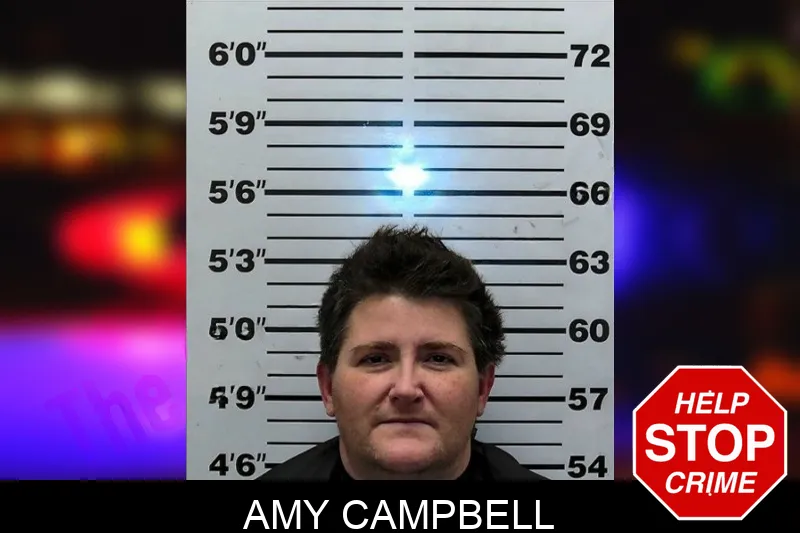 Amy Campbell mugshot – Hart County , Georgia Amy Campbell mugshot