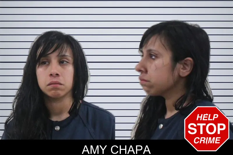 Amy Chapa mugshot