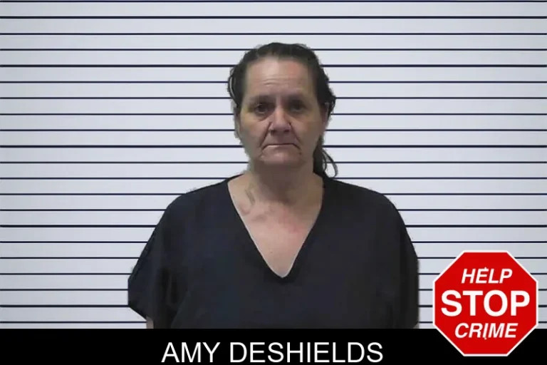 Amy Deshields mugshot – Gilmer County , Georgia Amy Deshields