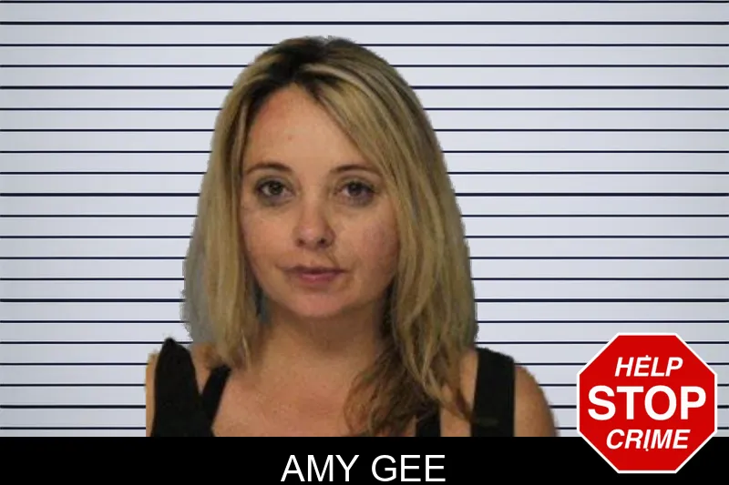 Amy Gee mugshot – Hall County , Georgia Amy Gee mugshot