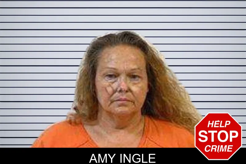 Amy Ingle mugshot – Polk County , Georgia Amy Ingle mugshot