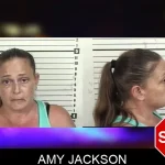 Amy Jackson mugshot – Camden County , Georgia Amy Jackson mugshot