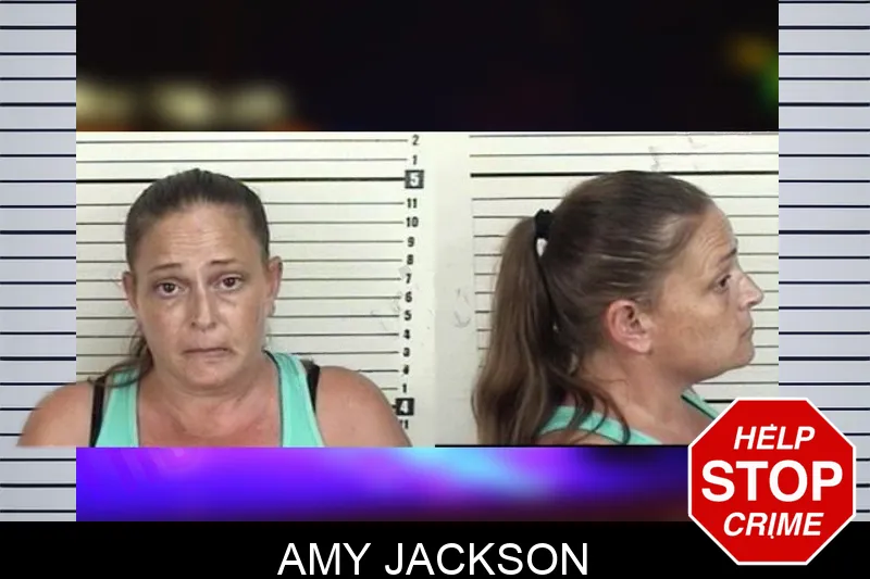 Amy Jackson mugshot – Camden County , Georgia Amy Jackson mugshot