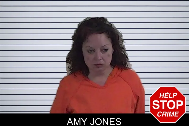 Amy Jones mugshot – Fannin County , Georgia Amy Jones mugshot