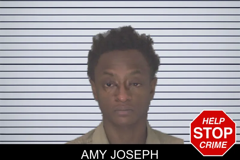 Amy Joseph mugshot