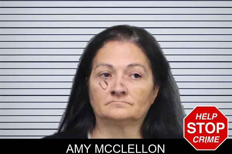 Amy McClellon mugshot