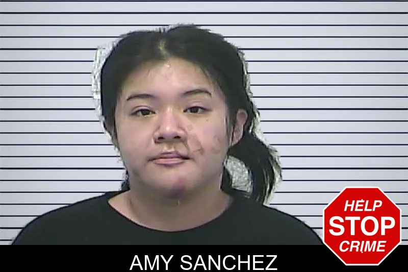 Amy Sanchez mugshot – Dawson County , Georgia Amy Sanchez mugshot