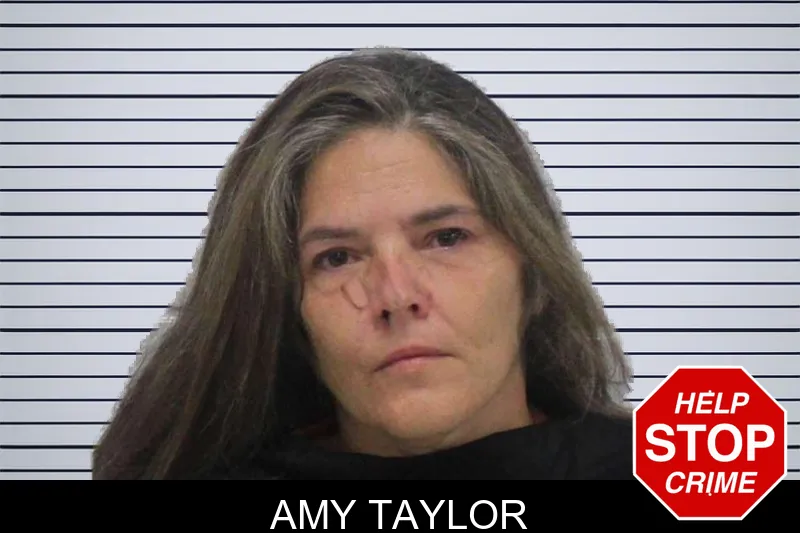 Amy Taylor mugshot – Carroll County , Georgia Amy Taylor mugshot