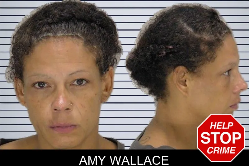 Amy Wallace mugshot