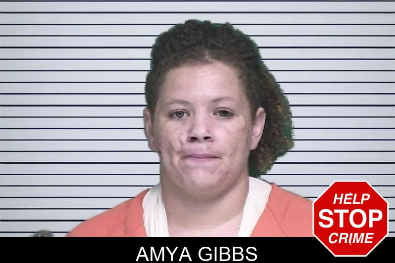 Amya Gibbs mugshot – Appling County , Georgia Amya Gibbs mugshot