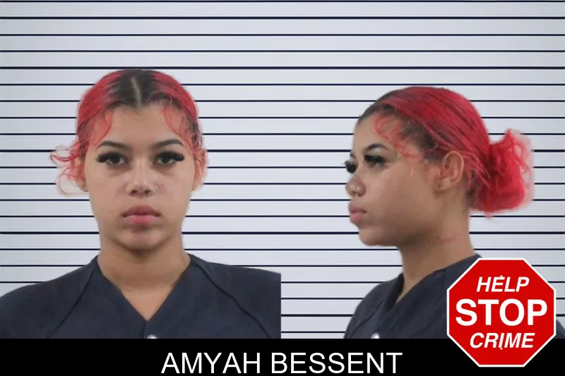 Amyah Bessent mugshot – Houston County , Georgia Amyah Bessent mugshot