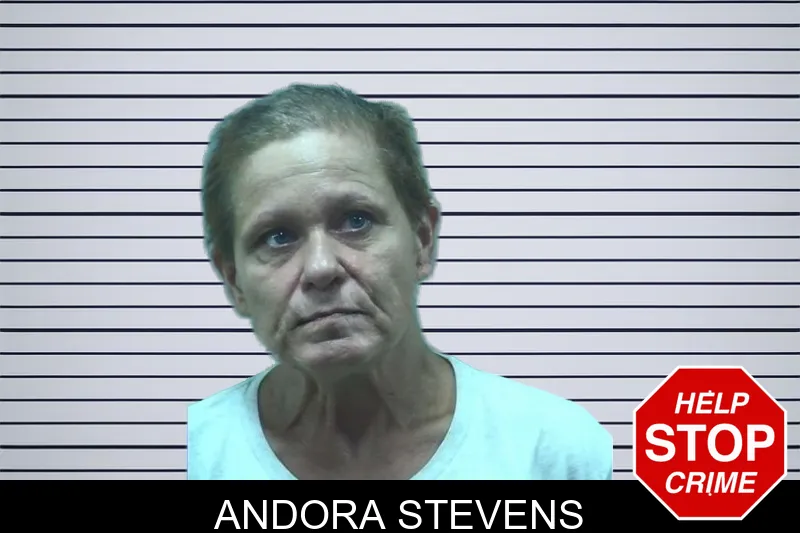 Andora Stevens mugshot – Bleckley County , Georgia Andora Stevens mugshot