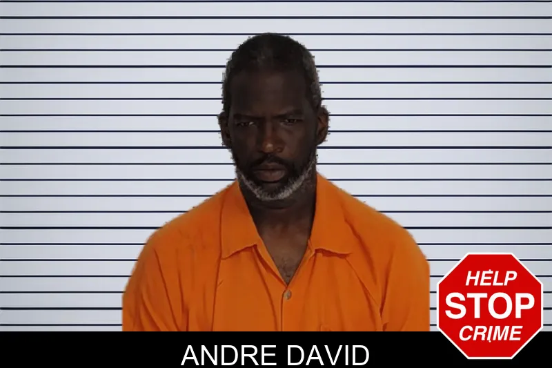 Andre David mugshot – Rockdale County , Georgia Andre David mugshot