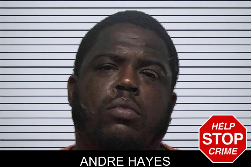 Andre Hayes mugshot