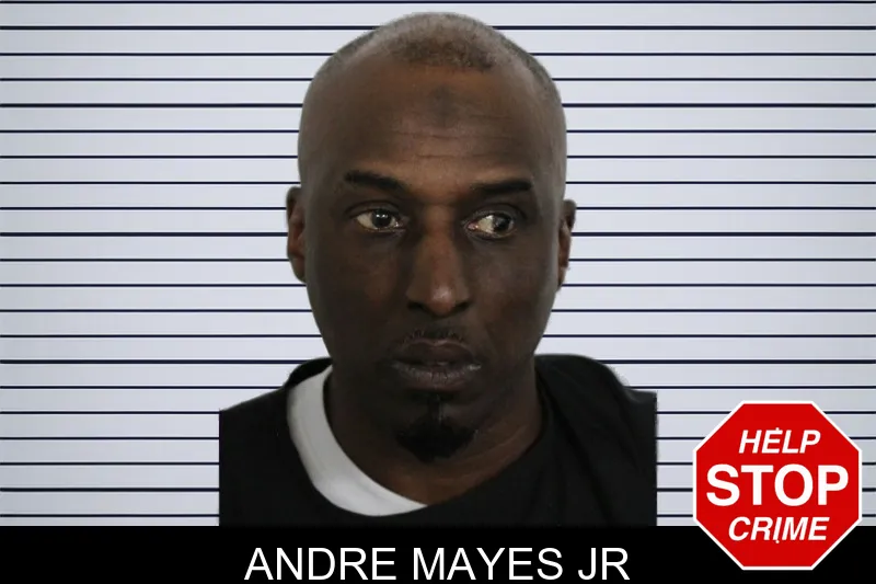 Andre Mayes Jr mugshot