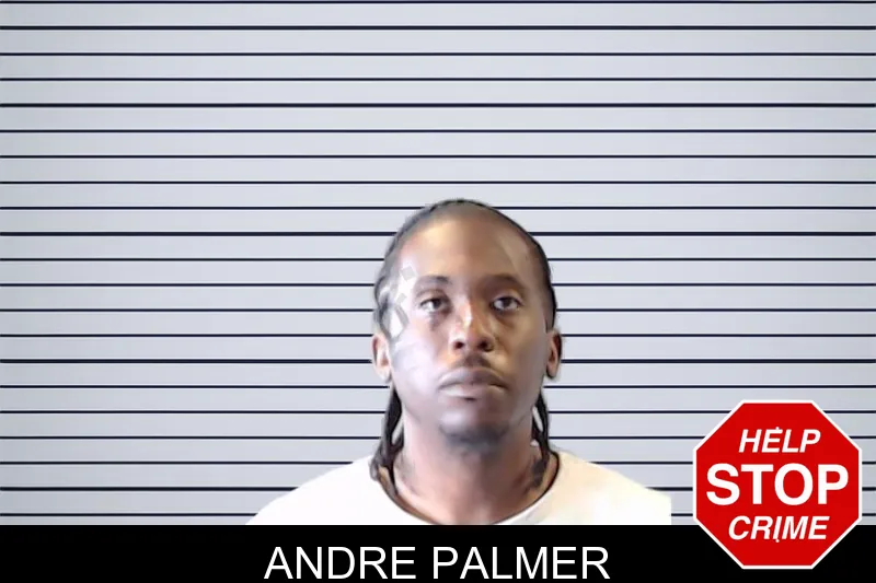 Andre Palmer mugshot – DeKalb County , Georgia Andre Palmer mugshot