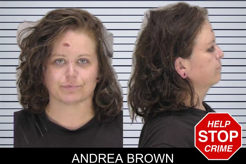 Andrea Brown mugshot – Richmond County , Georgia Andrea Brown mugshot