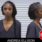 Andrea Ellison mugshot – Clarke County , Georgia Andrea Ellison mugshot