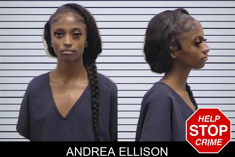 Andrea Ellison mugshot