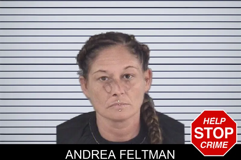 Andrea Feltman mugshot – Spalding County , Georgia Andrea Feltman mugshot