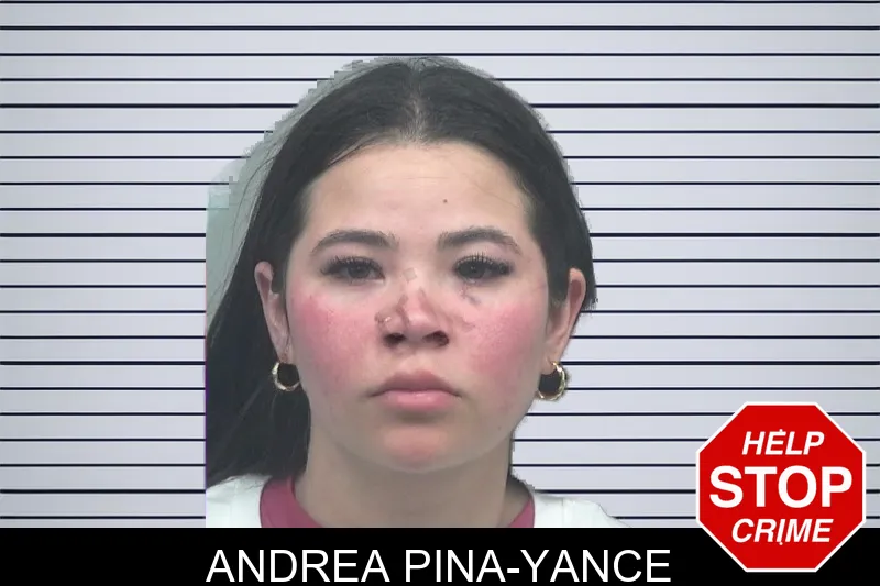 Andrea Pina-Yance mugshot – Gwinnett County , Georgia Andrea Pina-Yance mugshot