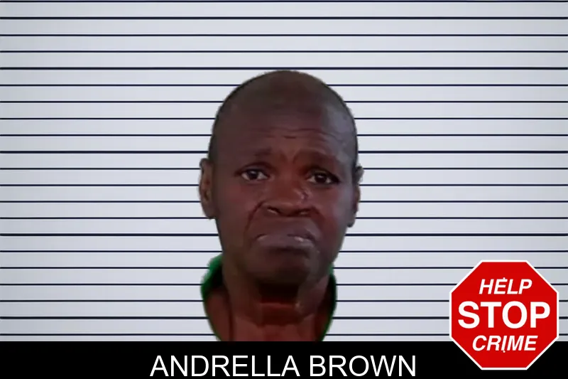 Andrella Brown mugshot – Liberty County , Georgia Andrella Brown mugshot