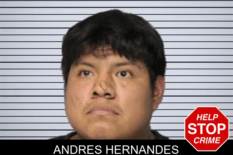Andres Hernandes mugshot