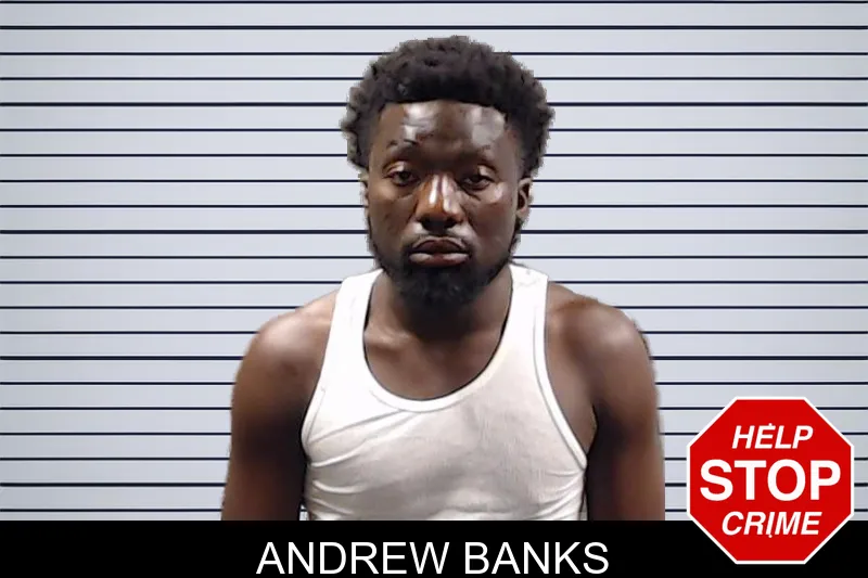 Andrew Banks mugshot