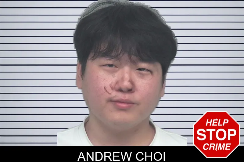 Andrew Choi mugshot