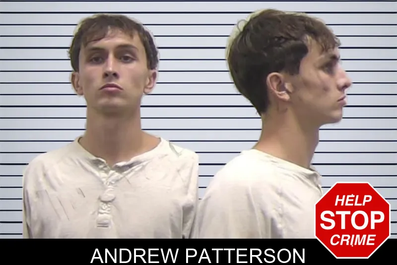 Andrew Patterson mugshot