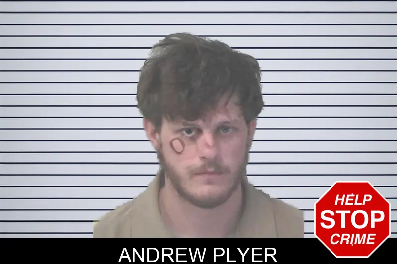 Andrew Plyer mugshot