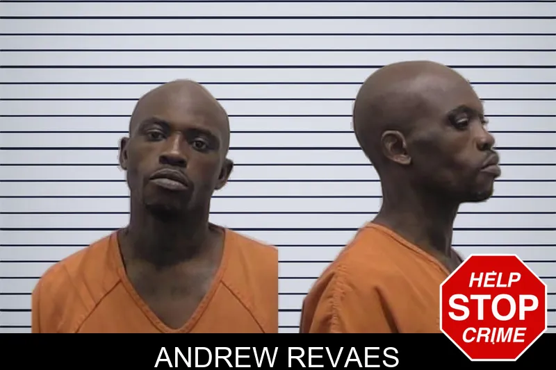 Andrew Revaes mugshot