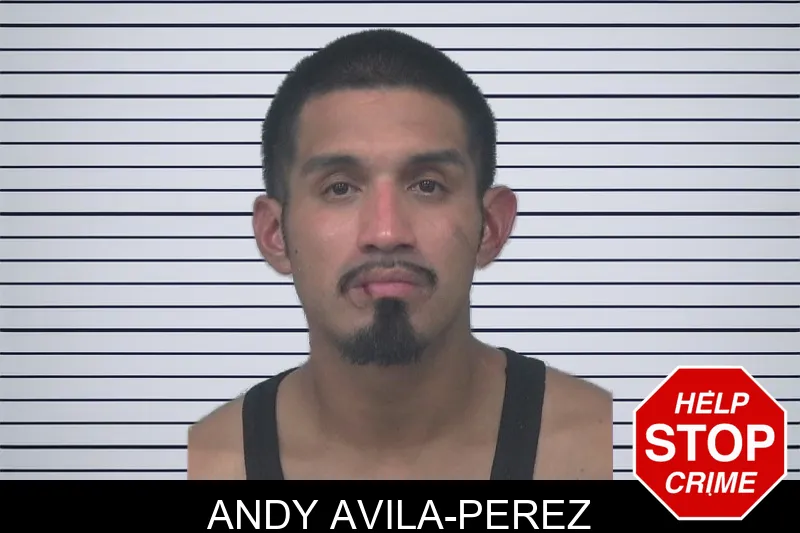 Andy Avila-Perez mugshot