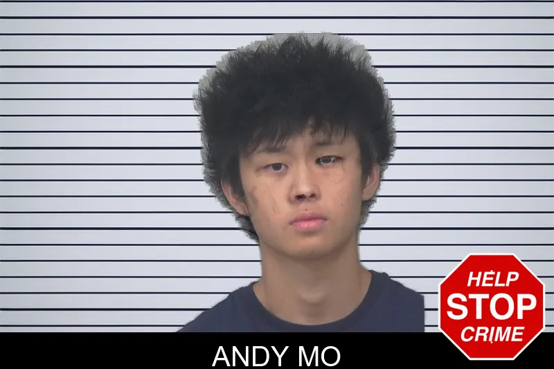 Andy Mo mugshot – Gwinnett County , Georgia Andy Mo mugshot