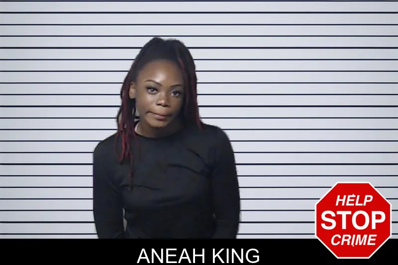 Aneah King mugshot – DeKalb County , Georgia Aneah King mugshot