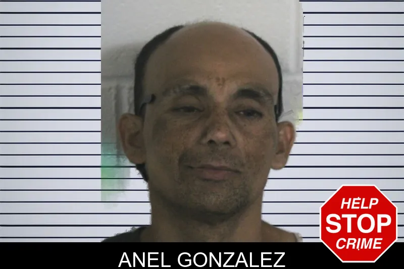 Anel Gonzalez mugshot – Floyd County , Georgia Anel Gonzalez mugshot