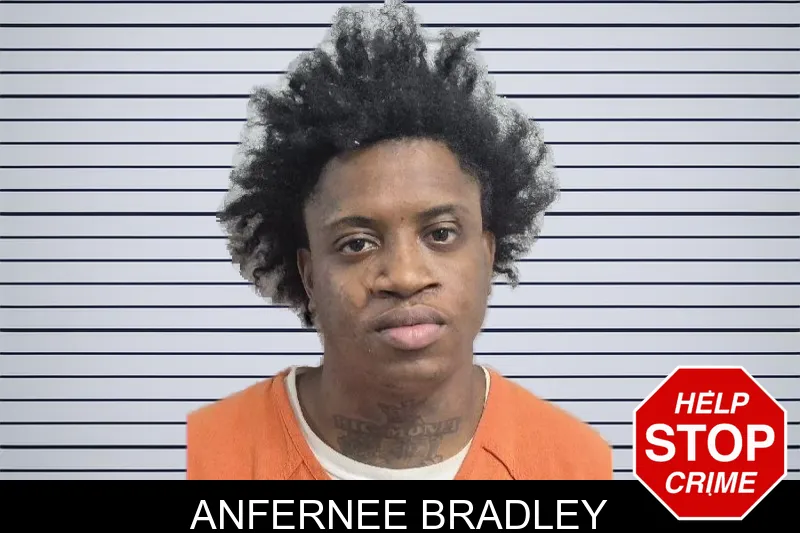 Anfernee Bradley mugshot – Dade County , Georgia Anfernee Bradley mugshot