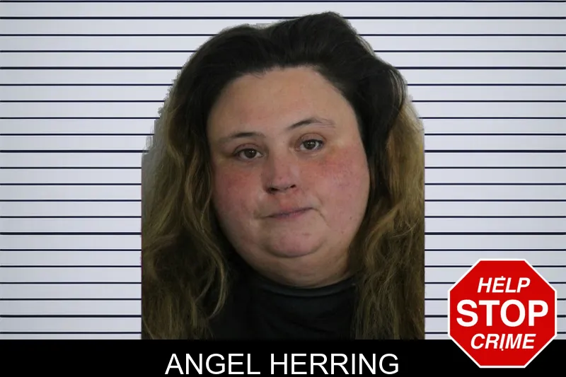 Angel Herring mugshot – Floyd County , Georgia Angel Herring mugshot