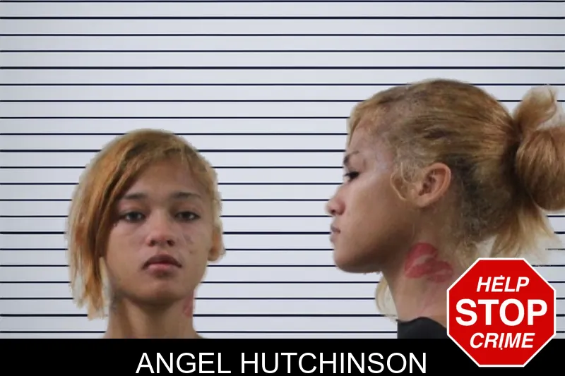 Angel Hutchinson mugshot – Houston County , Georgia Angel Hutchinson mugshot
